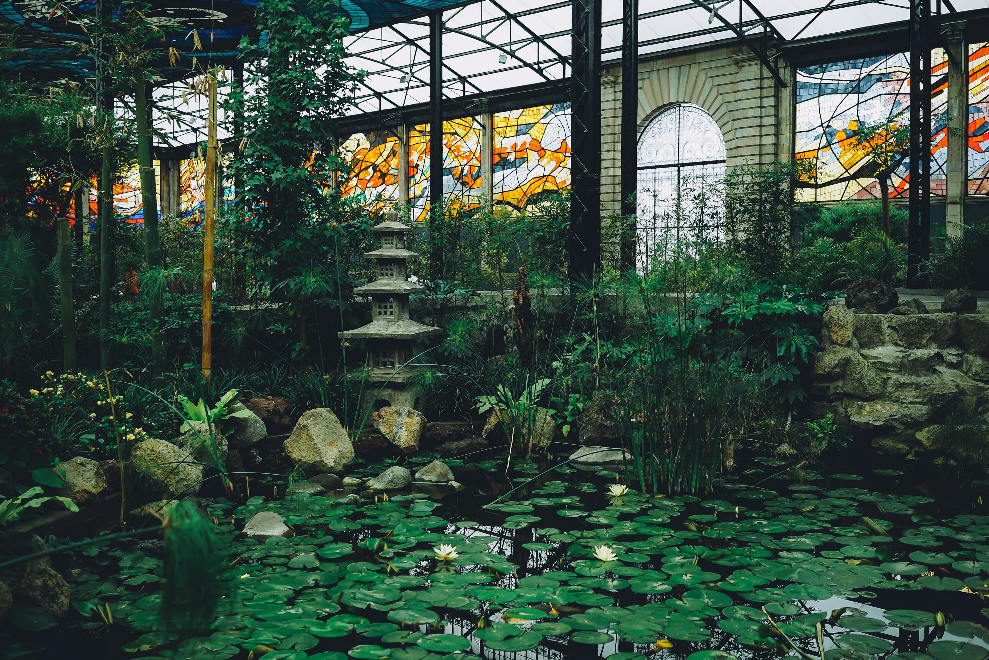 路桥区酒店中花卉绿植的种植艺术 路桥花卉市场